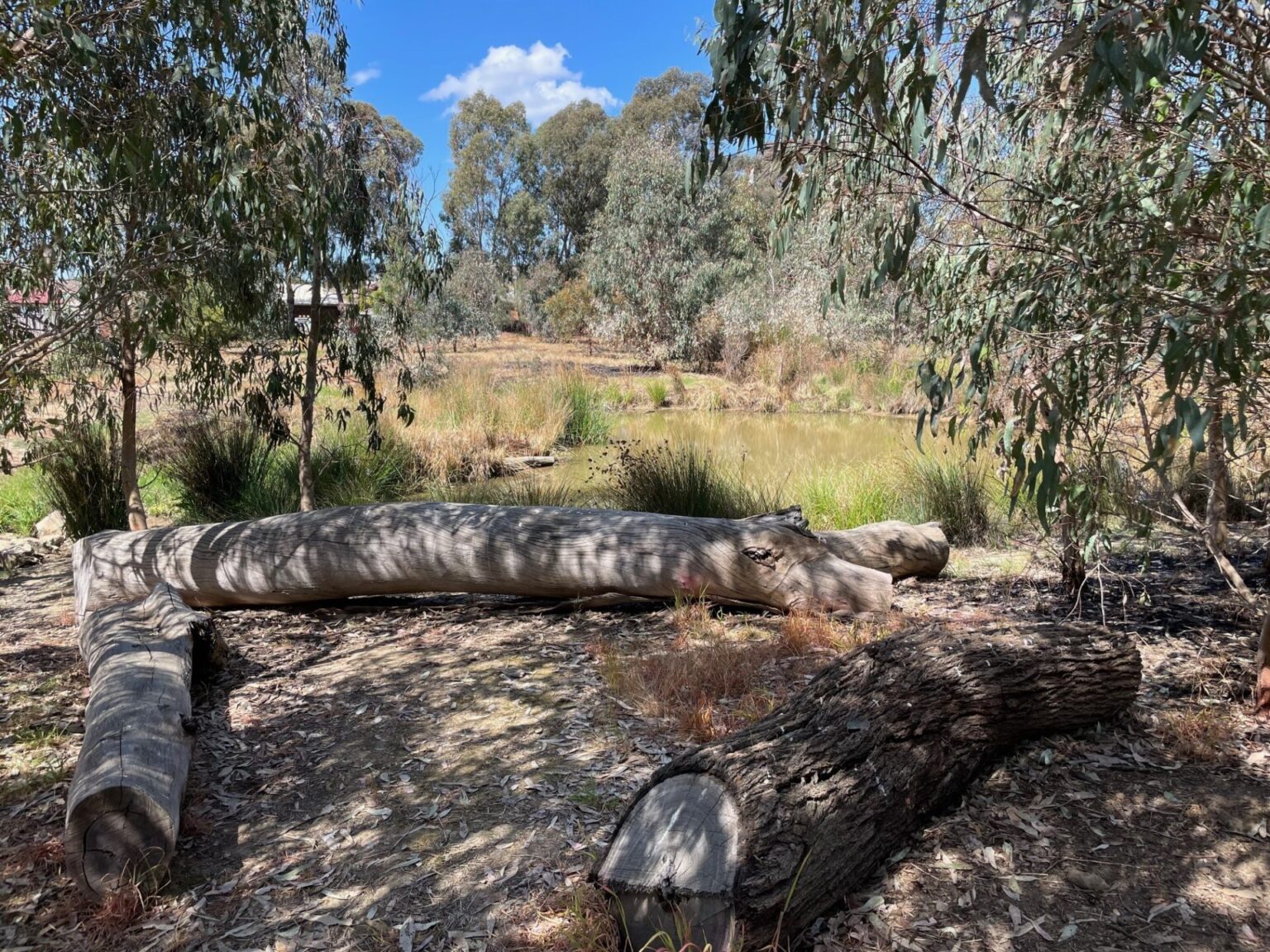 Wanyarra Dum