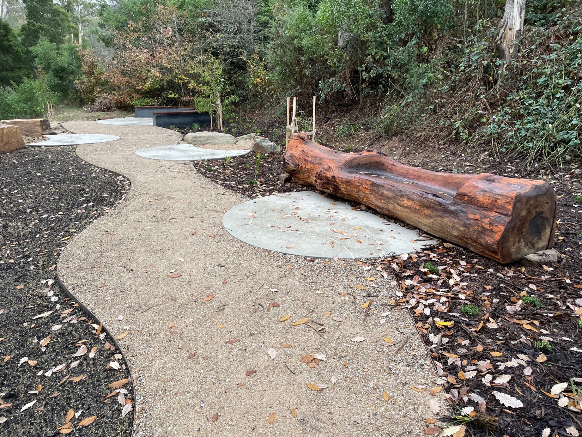 Central Springs Site